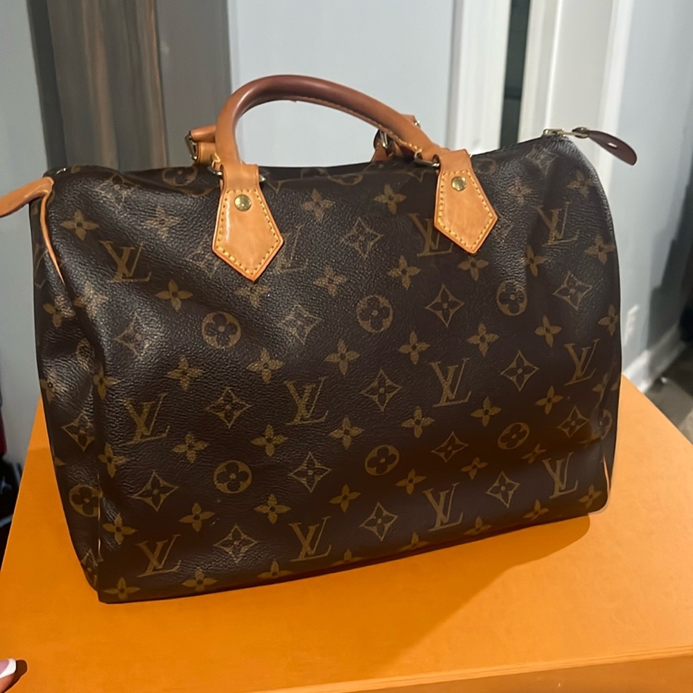 Women’s Louis Vuitton Purse